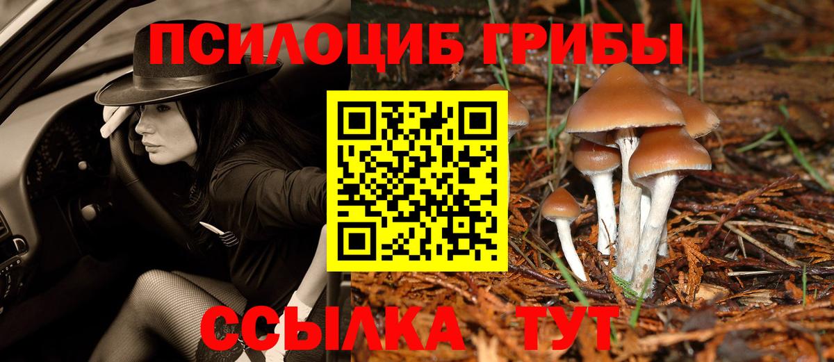Вязьма  Галлюциногенные грибы ЛСД  Галлюциногенные грибы мицелий  Вход с VPN 